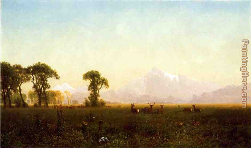 Deer Grazing, Grand Tetons, Wyoming painting - Albert Bierstadt Deer Grazing, Grand Tetons, Wyoming art painting